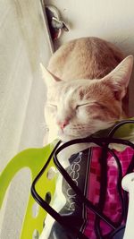 Close-up portrait of woman with eyes closed