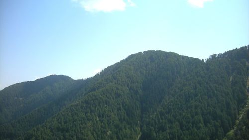 Scenic view of forest and mountains against sky