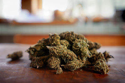 Close-up of dead plant on table