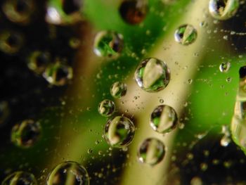 Full frame shot of water drops