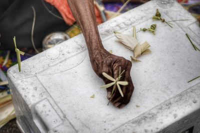 Cropped hand holding flower on table