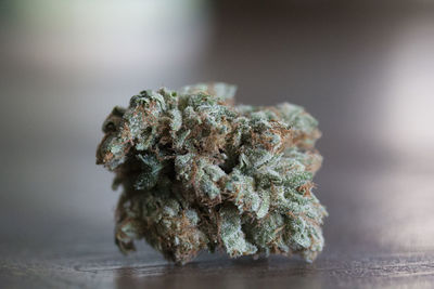 Skywalker cannabis flower. medical marijuana plant. cannabis bud. weed nug