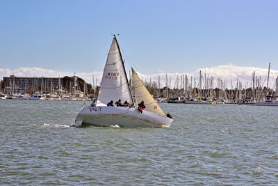 Sailboat sailing on sea against clear sky