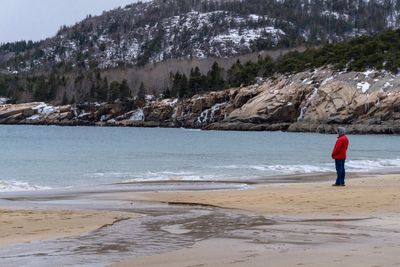 Rear view of man standing on beach