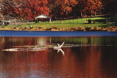 Birds in lake against sky