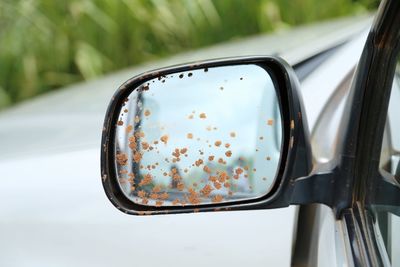 Reflection of car on side-view mirror