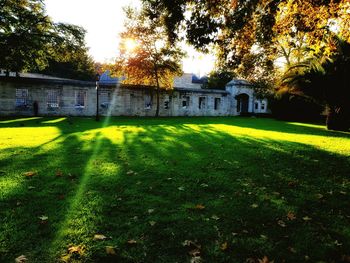 Lawn in front of built structure