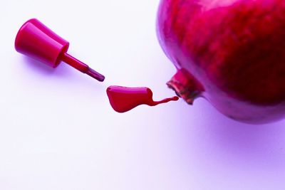 Close-up of red flower over white background