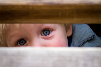 Close-up portrait of boy