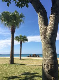 Scenic view of sea against blue sky