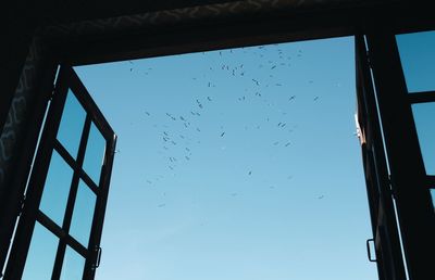 Low angle view of birds against clear blue sky seen through window