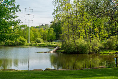 Scenic view of lake by trees against sky