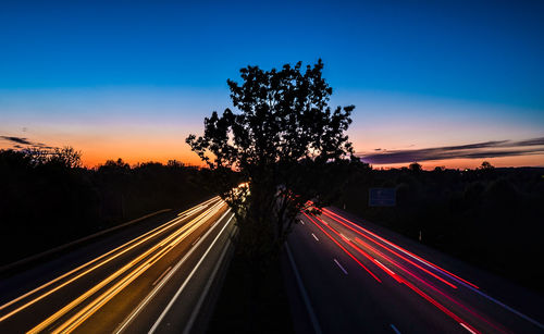 Silhouette tree amidst light trails on road against sky