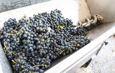 High angle view of grapes in container