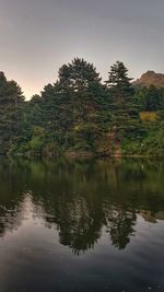 Reflection of trees in lake against sky