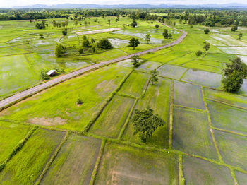 High angle view of agricultural field