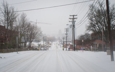 Empty road along trees