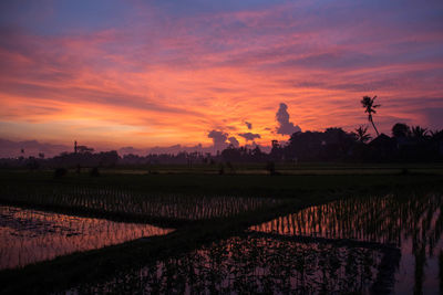 Scenic view of field against sky during sunset