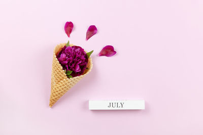 High angle view of pink roses against white background