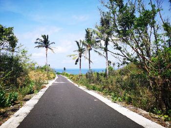 Road amidst trees against sky