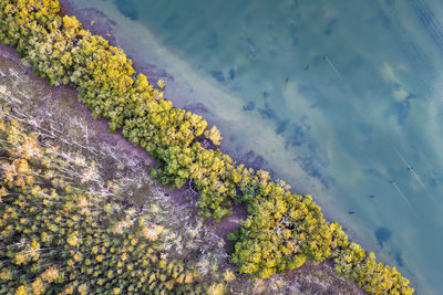 High angle view of rocks in lake