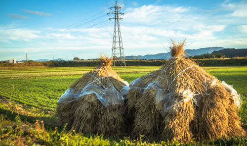 Hay bales on field against sky