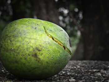 Close-up of green fruit on field