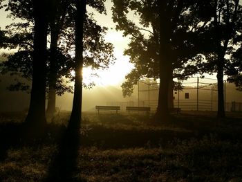 Scenic view of grassy field against sky at sunset