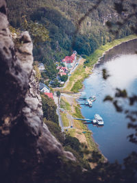 High angle view of trees on mountain