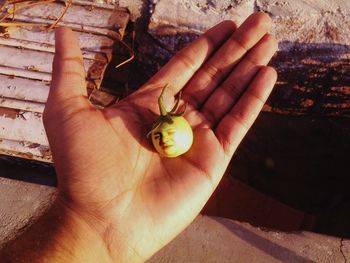 Close-up of hand holding leaf