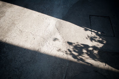 High angle view of shadow on street