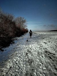 Silhouette of people on beach