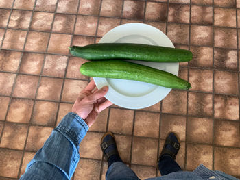 Low section of person holding two fresh green cucumbers on plate 