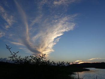 Scenic view of silhouette trees against sky during sunset