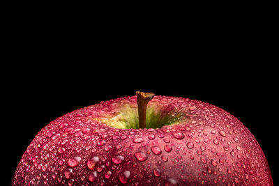 Close-up of apple in water against black background