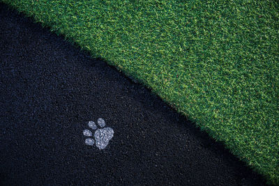 Texture of grass and asphalt with paint of pet footprint, cat or dog foot shape,