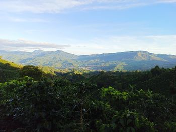 Scenic view of landscape against sky