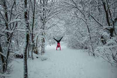 Man doing handstand amidst frozen trees in forest