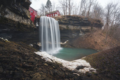 Scenic view of waterfall in forest