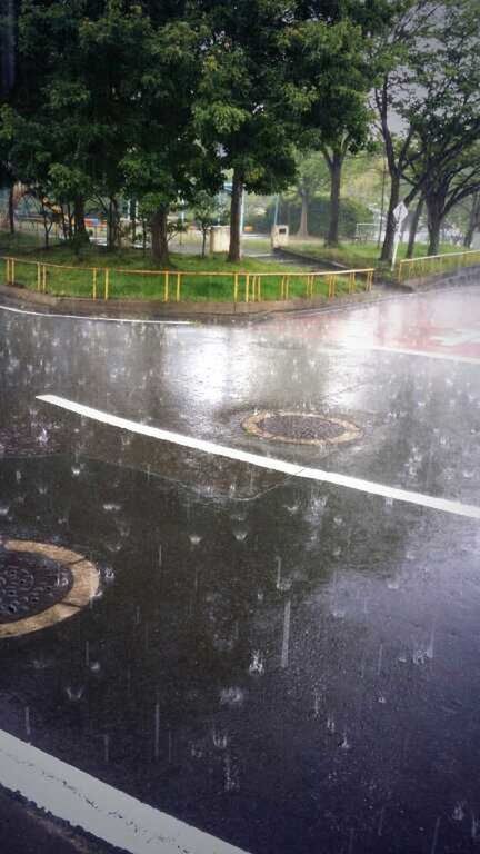 water, tree, transportation, street, road, wet, rain, reflection, motion, car, puddle, road marking, land vehicle, city, mode of transport, high angle view, monsoon, built structure, outdoors, fountain