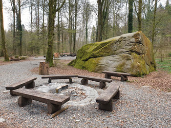 Bench in forest