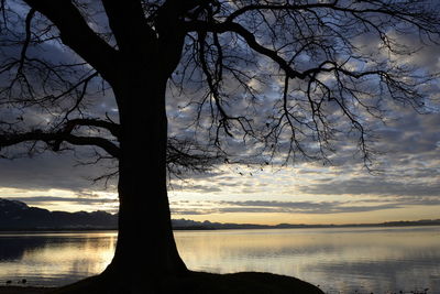 Silhouette bare tree by lake against sky during sunset