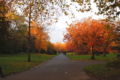 Road amidst trees during autumn