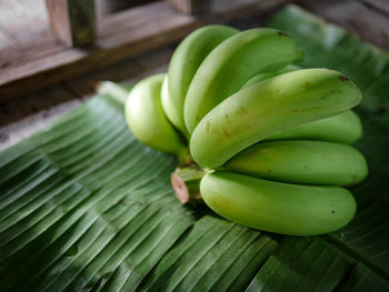 High angle view of fruits on plant