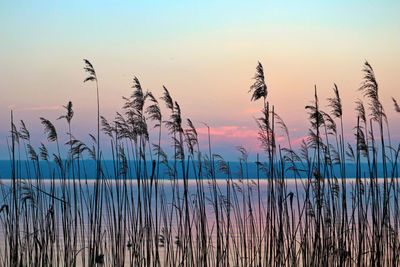 Scenic view of lake against sky during sunset