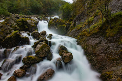 Scenic view of waterfall in forest
