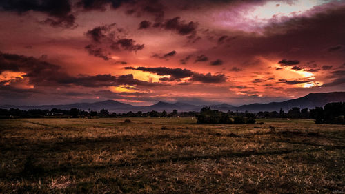 Scenic view of field against sky during sunset