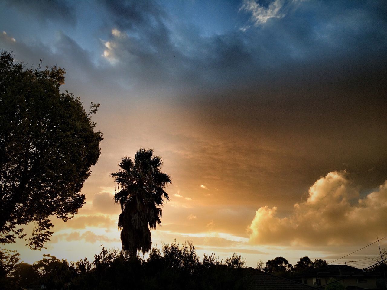 sky, sunset, silhouette, tree, tranquility, tranquil scene, scenics, beauty in nature, cloud - sky, nature, cloudy, cloud, idyllic, palm tree, dramatic sky, low angle view, growth, orange color, outdoors, majestic