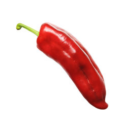 Close-up of red chili pepper against white background