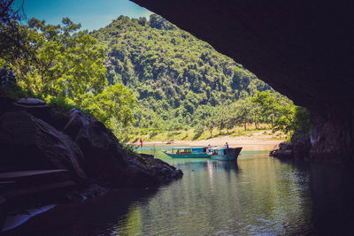 Scenic view of river amidst trees in forest